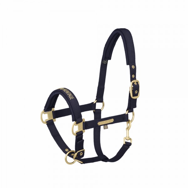 Halfter PIN BUCKLE - navy 